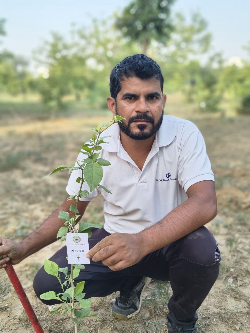 Mission 100 Crore Tree photo 3